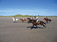 Wales-Wales-Trans Wales Trail